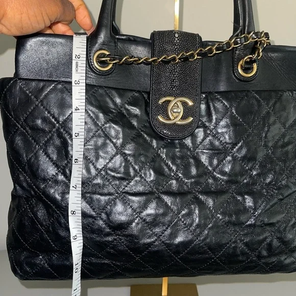 Chanel Stingray Glazed Calfskin Bindi Tote Bag - Picture 14 of 15